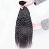Hesperis Brazilian Afro Kinky Straight Hair 10A Mink Brazilian Virgin Hair Human Braiding Hair Bulk No Weft Brazilian Ki