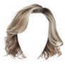 Raquel Welch Wig Hairpiece Flirt Alert Rl119 by Hairuwear