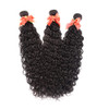 Water Wave Bundles with Closure Brazilian Wet and Wavy Bundles with Lace Closure Virgin Human Hair Curly Wave Human Hair