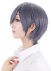 LABEAUT Short Male Gray Wig Males Cosplay Wig Anime Straight Blue Fluffy with Bangs Mens Halloween Party Hair Free Cap