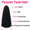 Dorsanee Passion Twist Hair 18 Inch 7 Packs Water Wave Crochet Hair Long Bohemian Curly Braiding Hair for Butterfly Locs