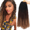Dorsanee Ombre Passion Twist Hair 18 Inch 6 Packs Water Wave Crochet Hair Long Bohemian Curly Braiding Hair for Butterfl