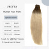 Real Human Hair Weft Sew in Extensions Ombre Brown to Platinum Blonde HandTied Weft Hair Extensions for Women 14Inch Sew