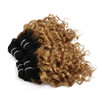 FASHION LINE 4 Bundles Deep Wave Short Bob Style Ombre 1B27 Virgin Human Hair Bundles 50g Two Tone Color Brazilian Hair