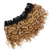 FASHION LINE 4 Bundles Deep Wave Short Bob Style Ombre 1B27 Virgin Human Hair Bundles 50g Two Tone Color Brazilian Hair