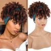 Aisaide Curly Wigs for Black Women Headband Wigs with Bangs Synthetic Short Afro Kinky Curly Wig with Headband Attached