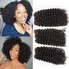 Kinky Curly Hair Bundles with Luxnovolex 10A Unprocessed Brazilian Short Virgin Human Hair Weave Extensions 300g 10 10 1