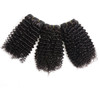 Kinky Curly Hair Bundles with Luxnovolex 10A Unprocessed Brazilian Short Virgin Human Hair Weave Extensions 300g 10 10 1