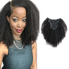 Sassina Double Wefts Afro Curly Clip in Human Hair ExtensionsInvisable Seamless Remi Clip Hair 3C 4A For African America