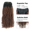 Sassina Ombre Kinky Curly Clip in Human Hair Extensions for African American Black Women Double Wefts 3C 4A Afro Kinky C