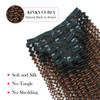 Sassina Ombre Kinky Curly Clip in Human Hair Extensions for African American Black Women Double Wefts 3C 4A Afro Kinky C