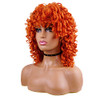 AIDUSA Short Loose Curly Wig for Black Women Short Curly Wigs for Women Curl Afro Wigs for Black Women Synthetic Hair Wi