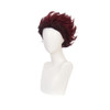 ZGNGLIZ Anime Cosplay Wig Long Short Synthetic Hair for Halloween Costume Party with Free Wig Cap Short Redbrown