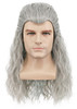 yuehong Adult Long Curly Gray Mens Wig Wavy Anime Cosplay Wig Heat Resistant Synthetic Fibers Daily Party Costume Hair
