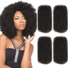 Style Icon 4 Bundles Afro Kinkys Bulk Human Hair 20202020 Natural Black Afro Twist Braiding Hair Curly Hair Extensions f