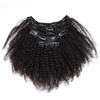 ZigZag Hair Afro Kinky Curly Clip In Human Hair Extensions Brazilian Virgin African American 4B 4C Natural Clip Ins For