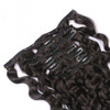 Natural Curly Clip in Human Hair Extensions for Black Women Natural Wave Real Human Remy Hair Clip in Extension for Afri