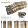 WindTouch Clip in Hair Extensions Real Human Hair Balayage Ash Blonde To Platinum Blonde Highlights Thick Full Head 14In