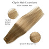 Clip in Hair Extensions Blonde Highlights Real Human Hair Clip ins 15 Inch Silky Straight Double Weft Remy Hair Extensio