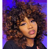 andromeda Curly Wigs for Black Women Brown Short Curly Wig with Bangs Soft Afro Kinky Curly Synthetic Wig for African Am