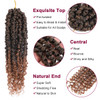 Passion Twist Hair 8 Packs 10 Inch Passion Twist Crochet Hair For Women Crochet Pretwisted Curly Hair Passion Twists Syn
