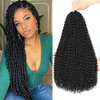 Dansama Passion Twist Hair Water Wave Crochet Hair for Black Women Long Bohemian Braiding Hair for Boho Locs Faux Locs B