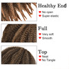 6Packs Marley Braiding Hair for Twists 8Inch Short Afro Kinky Springy Twist Crochet Braids Ombre Synthetic Fiber Hair Ex