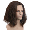 karlery Men Fluffy Short Curly Brown Wig Halloween Cosplay Wig Anime Costume Wig 1
