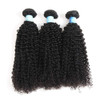 BLY 7A Mongolian Kinky Curly Human Hair 3 Bundles Pack 222426 Inch Unprocessed Hair Weave Weft for Black Women Natural C