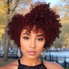 TISHINING Burgundy Short Curly Afro Wigs for Black Women Red Kinky Curly Wig with Bangs Heat Resistant Synthetic Full Ha