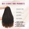 Dansama Passion Twist Hair Water Wave Braiding Hair for Butterfly Style Crochet Braids Bohemian Hair Extensions 18inch P