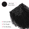 Sassina Remy Hair Extensions 4C Afro Clip in for Black Women Natural Black Afro Kinky Coily Clip in Human Hair Double We