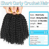 8 Inch Short Passion Twist Hair 6 Bundles Kinky Curly Crochet Hair for Black Women Curly Braiding Hair Crochet Braids Ha