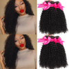Hermosa Brazilian Curly Hair 3 Bundles Double Weft Brazilian Curly Weave Human Hair Bundles 10A Unprocessed Brazilian Vi