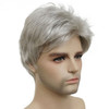 Lydell Men Wig Natural Short Straight Hair Synthetic Full Wigs 51 Silver Grey