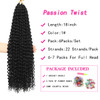 Ubeleco Passion Twist Hair18 Inch Water Wave Crochet Hair 6 Packs Black Passion Twists Crochet Hair for Women Long Bohem