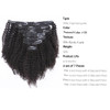 Lacer Hair 4A 4B Afro Kinky Curly Ombre Hair Extensions 12 Inch Clip in Double Weft 100 Real Remy Human Hair Extension T