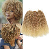 Sharopul Kinky Curl Short Hairstyle 8 Inch 3pcspack Afro Kinky Twist Hair Blonde Soft Synthetic Crochet Braiding Hair Ex