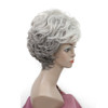 Lydell Womens Wigs Fluffy Naturally Curly Short Synthetic Hair Full Wig 456 Silver Gray