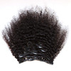 ZigZag Hair Afro Kinky Curly Clip In Human Hair Extensions Brazilian Virgin African American 4B 4C Clip in Hair Extensio