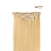 20 Clip in Hair Extensions Remy Human Hair for Women Silky Straight Human Hair Clip in Extensions 75grams 4pieces Bleach