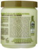 Hollywood Beauty Olive Cholesterol 20 oz