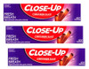 CloseUp Cinnamon Anticavity Flouride Toothpaste 6 Ounce Pack of 3