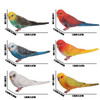 JOKFEICE Birds Figures 6pcs Realistic ParrotToys Animal Figures Set Simulated Plastic Animal Models Toys Kids Educationa