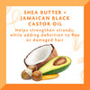 Cantu shea butter maximum hold strengthening styling gel with jamiaican black castor oil 185 Ounce