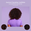 The Mane Choice Ancient Egyptian AntiBreakage Repair 24 Karat Gold Twisting Hair Gel Definition Shine Braid Gel for Dry