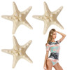 3Pcs Starfish Hair Clip Shell Crafts Ocean Style Beach Hairpin Mermaid Women Girls Popular Hair Accessories