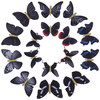 DEEKA 16 PCS Butterfly Hair Clips Small Realistic Colorful Handmade 90s Hair Clips Barrette Hair Accessories for Women a
