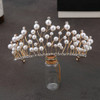 JORCEDI Pearl Rhinestone Tiaras and Crowns Headband Princess Queen Headdress For Headband Girls Crown Rhinestone Wedding