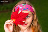 Stephen Joseph Headband for Girls Toddler Girls Stretchy Headband Accessories Wild Flowers
